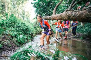 BIB: 
                            <button type="button" onclick="openModal(25515372)" class="btn btn-primary btn-sm float-right btn-popup" data-toggle="modal" data-target=".modal-high-quality">
                        <i class="fas fa-shopping-cart"></i> Add to Cart
                    </button>
                                            <button type="button" onclick="isThisMe(25515372, true)" class="btn btn-success btn-sm float-right btn-popup btn-isme hidden" data-toggle="tooltip" data-placement="bottom" title="นี่คือรูปของคุณใช่ไหม คลิกที่นี่เพื่อเอาเข้าอัลบั้ม">
                        <i class="fas fa-plus"></i> Add to album
                    </button>
                    <button type="button" onclick="isThisMe(25515372, false)" class="btn btn-warning btn-sm float-right btn-popup btn-isnotme hidden">
                        <i class="fas fa-ban"></i> Remove from album
                    </button>